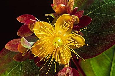 德国2023年6月销量榜：《暗黑4》超60万销量登顶